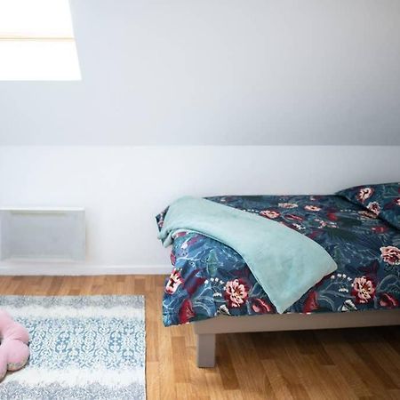 Duplex Tout Equipe, Proche Centre-Ville Colmar, Parking מראה חיצוני תמונה