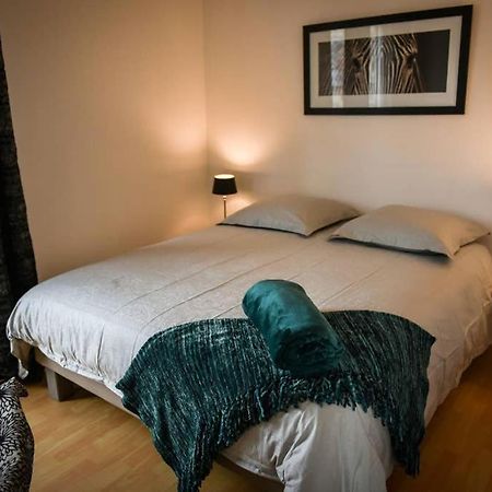 Duplex Tout Equipe, Proche Centre-Ville Colmar, Parking מראה חיצוני תמונה