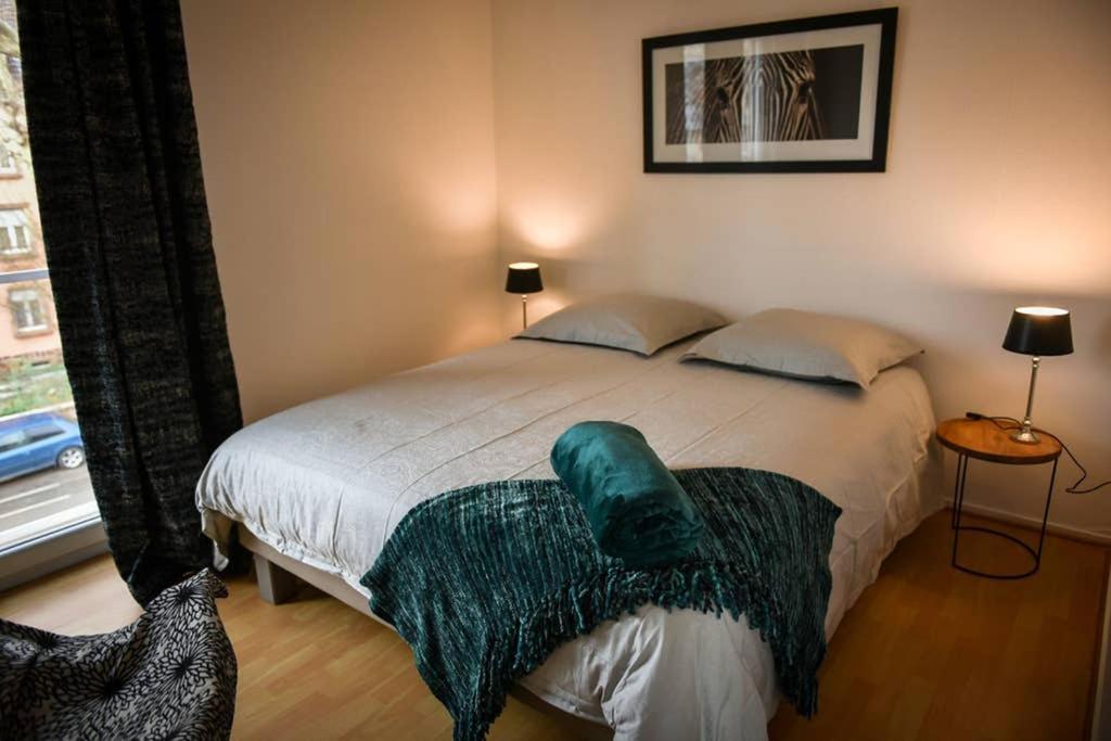Duplex Tout Equipe, Proche Centre-Ville Colmar, Parking מראה חיצוני תמונה